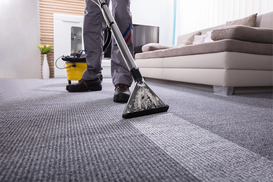 Professional Carpet Cleaning
