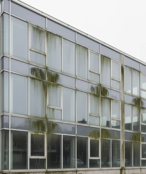 Office Cleaning Services Before